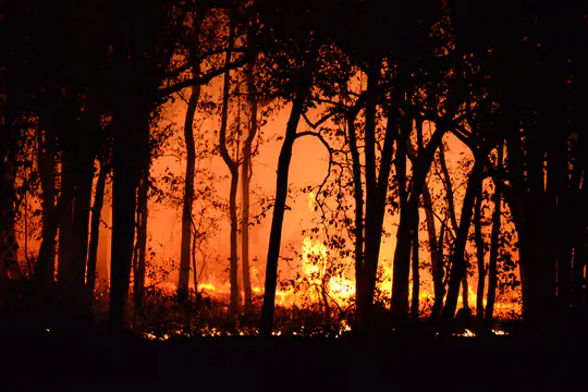 Fire and soil microbiomes